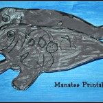 manatee project_2