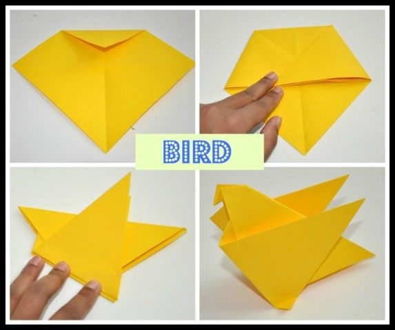 origami - bird