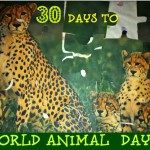 WORLD ANIMAL DAY_6