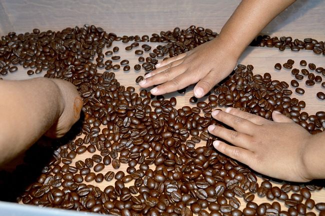 coffee beans sensory activities based on a spring