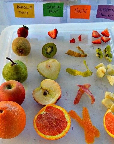 fruits sensory bin
