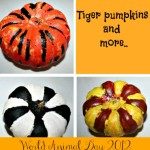 painting pumpkins feature