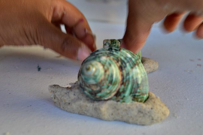 making a snail