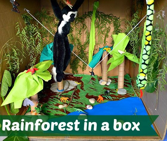 rainforest play scene