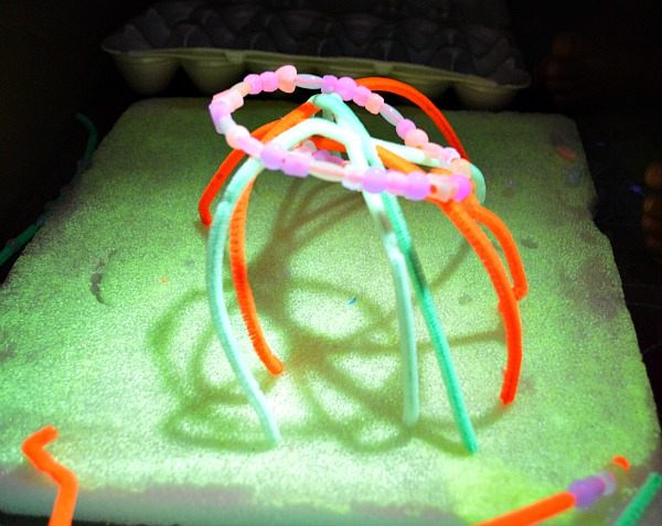 pipe cleaner maze
