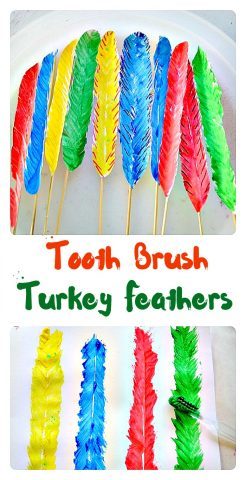 tooth-brush-turkey-feathers
