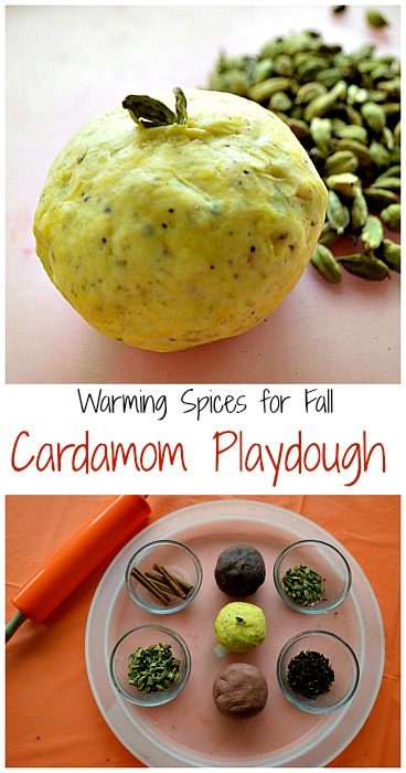 cardamom playdough for fall