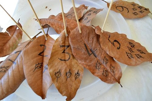 math fun with leaves