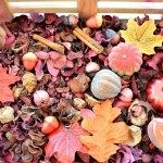 sensory bins for toddlers for fall season