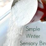 sensory bins for winter season