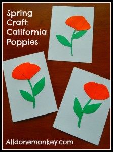 California-Poppies-5-223x300