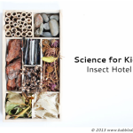 Science for Kids – Insect Hotel