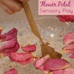 Flower Petal Sensory Play