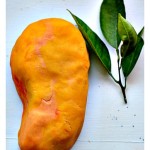 Summer fun Mango Playdough Recipe