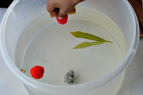 kids experiments with science