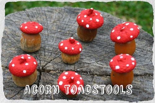 Acorn Toadstool