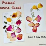 Valentine Cards with flower pressing