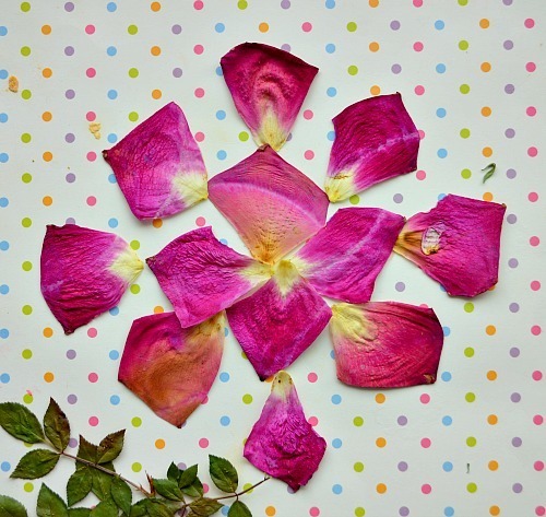 art activities for kids using pressed flowers