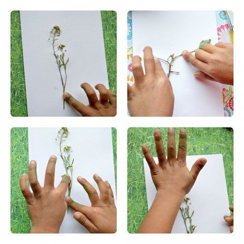 art activities for kids using pressed flowers