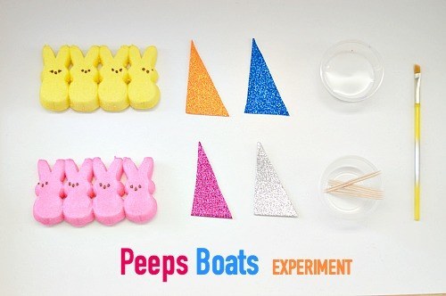 Peeps Boats Experiment