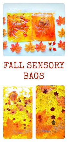 fall-sensory-bags-for-kids